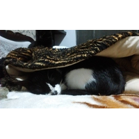 vivih_sgh - BFnX6bzyL1u-RCKmO7mH.jpg